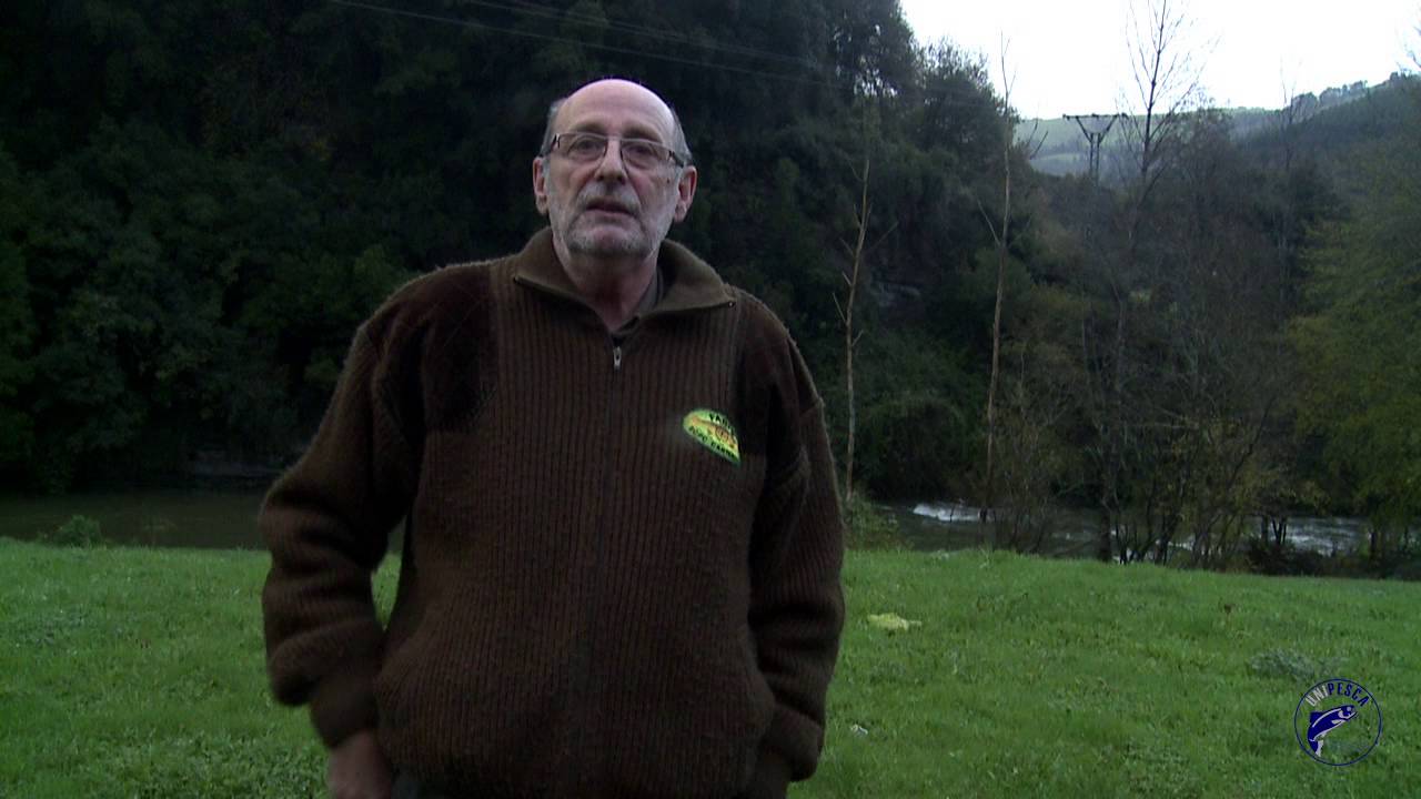 Desove y repoblación de truchas en el río Asón