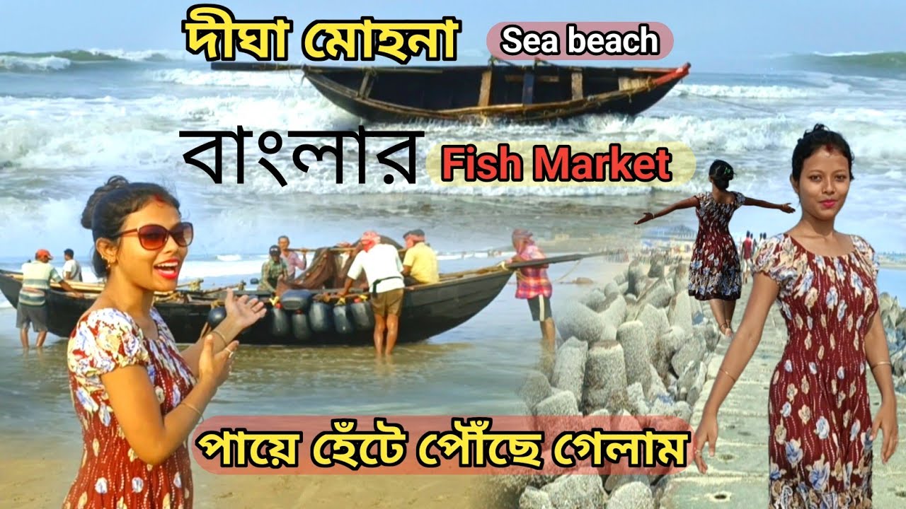 দীঘা মহোনায় সস্তায় টাটকা মাছ কিনতে আসুন | Digha Mohona | Sea Fish Market | Digha Mohona Fish Market