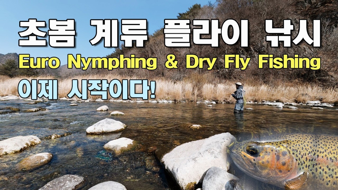 초봄 계류 플라이 낚시 / 유로 님핑과 드라이 플라이 피싱 / 이제 시작!