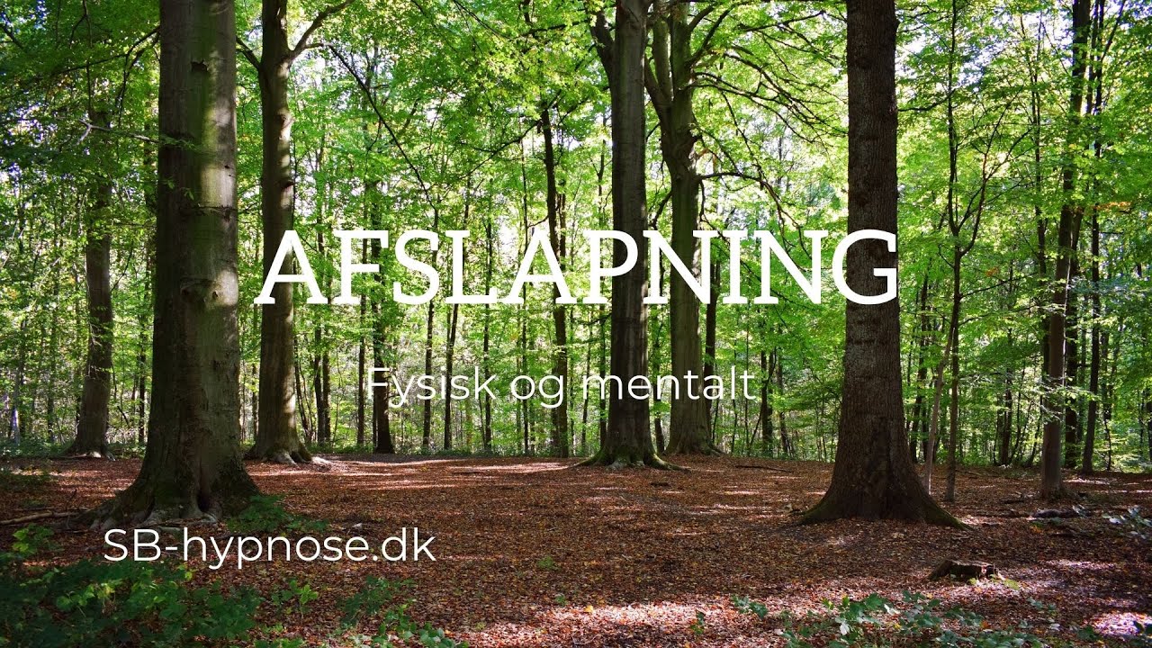Meditation - Afslapning fysik og mentalt