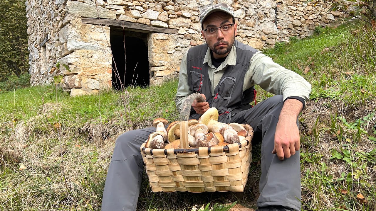 PIÙ FORTI DELLE AVVERSITÀ!!➖PORCINI 2023