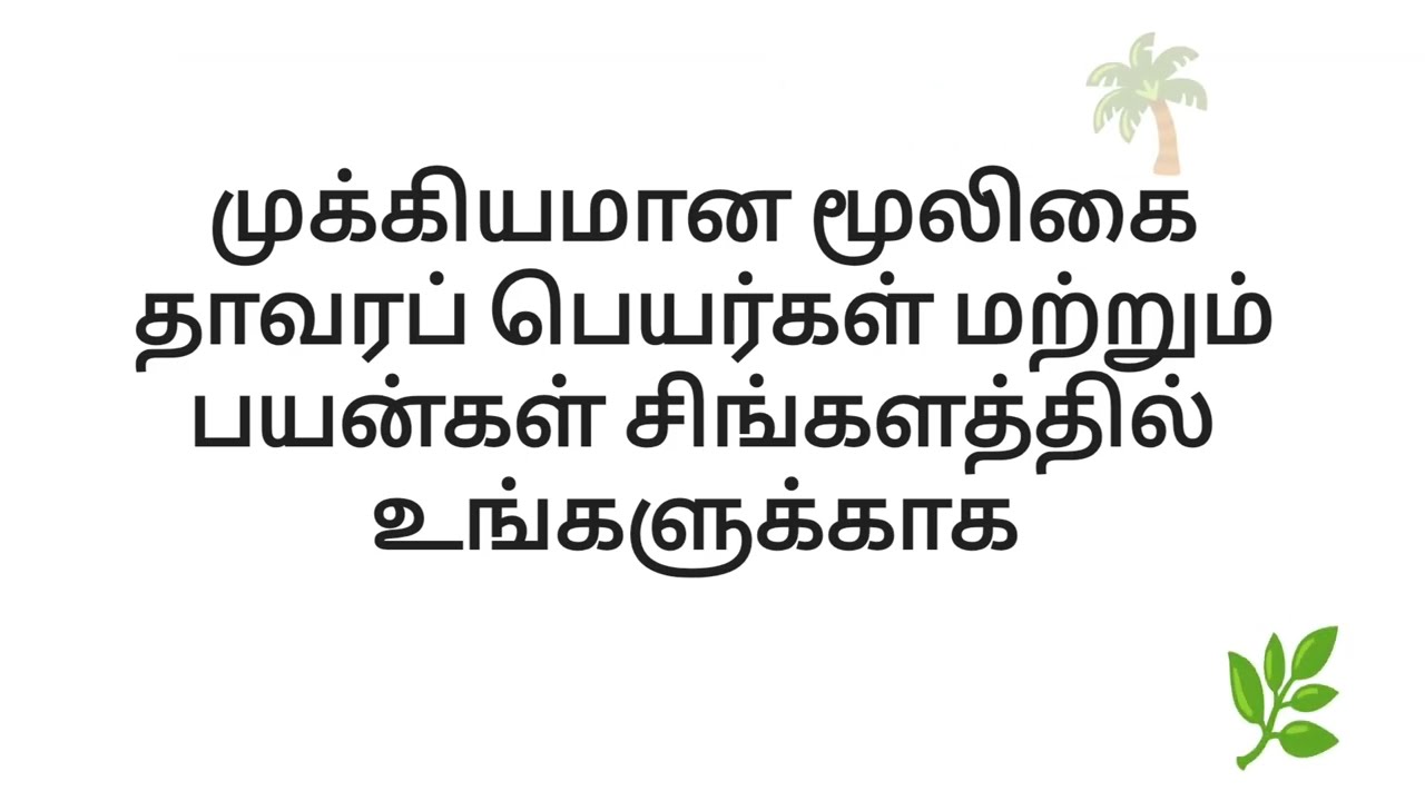 Herbs' names and usages in Sinhala to Tamil | Herbs in Sinhala | Herb usages in Sinhala to Tamil