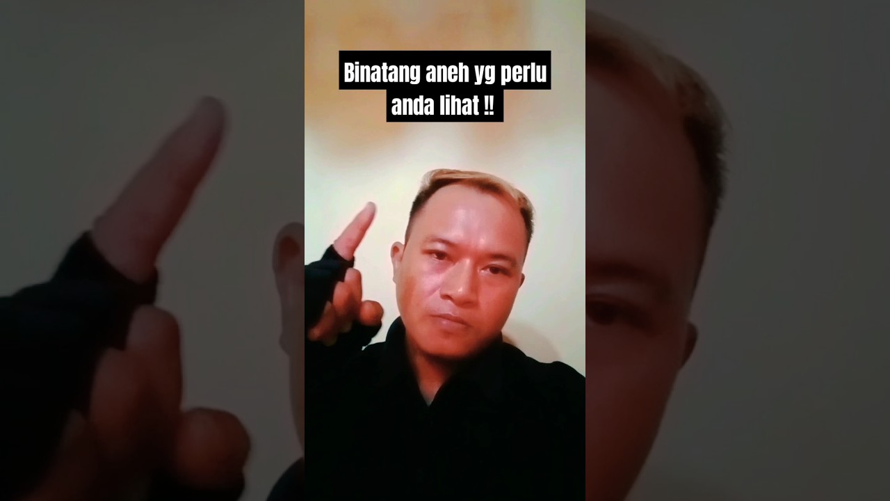 binatang dengan ke anehan #youtubeshorts #shortvideo #hewanunik #aneh