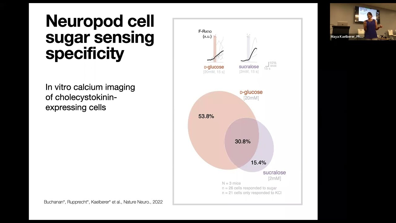 Science by the Slice—