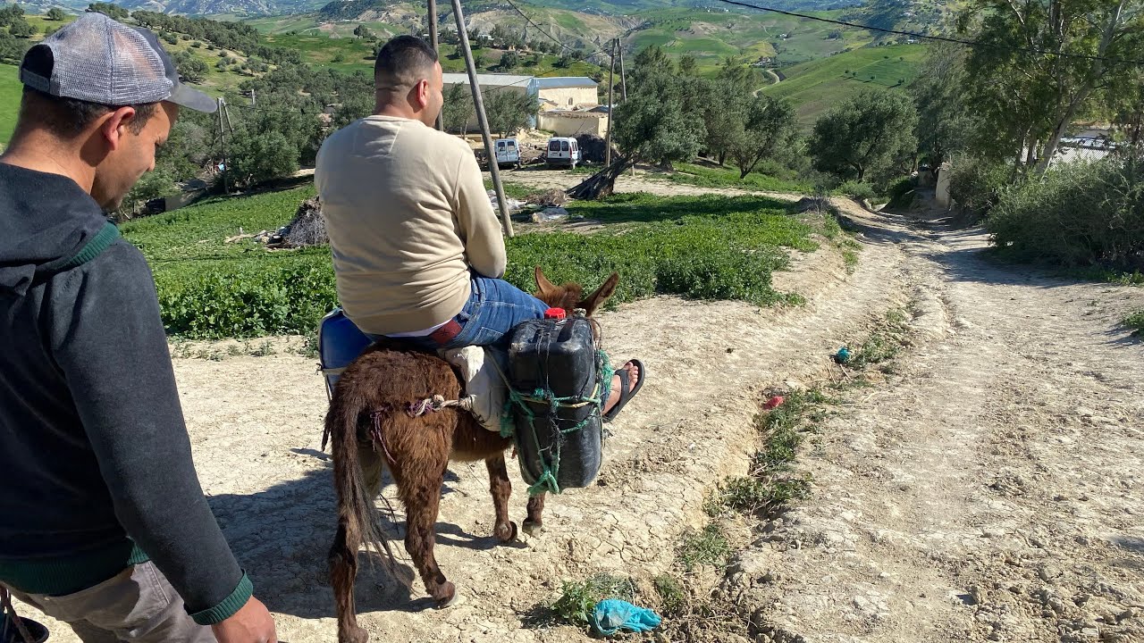 💥أجواء عيد الفطر في البادية❤️خرج نطق تجارة 💥حياة آخرى