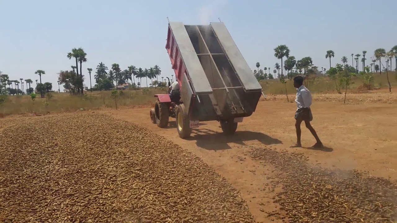 Turmeric steamer trolley type unloading video