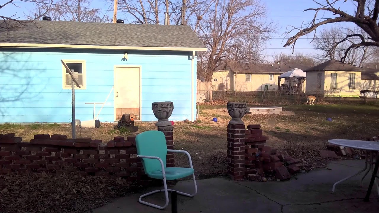 Backyard CCTV Camera Live Stream (3/13/2026)