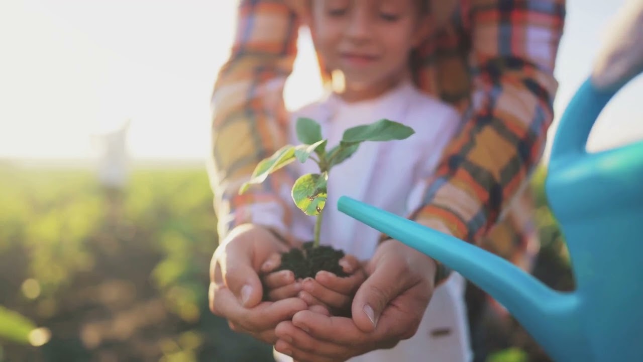 ANDELY  ESG Practices  The Future of SMEs 2024 04 02