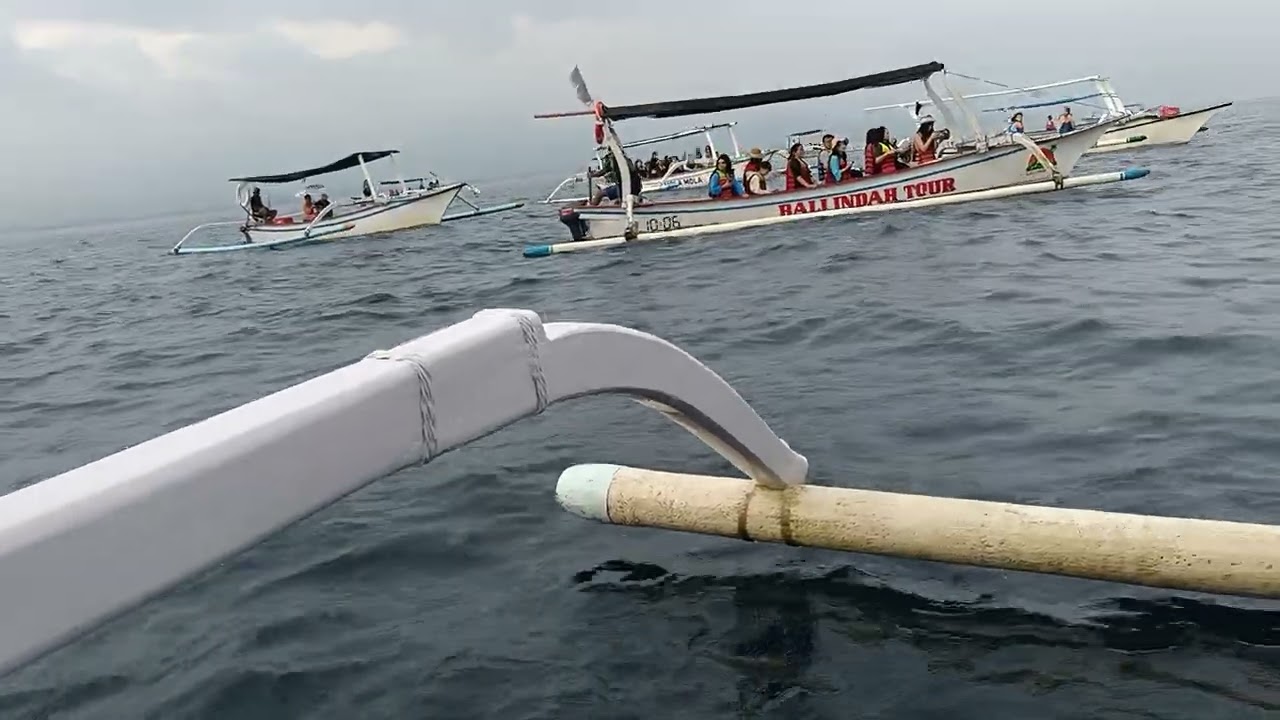 Nyari lumba lumba di lovina bali
