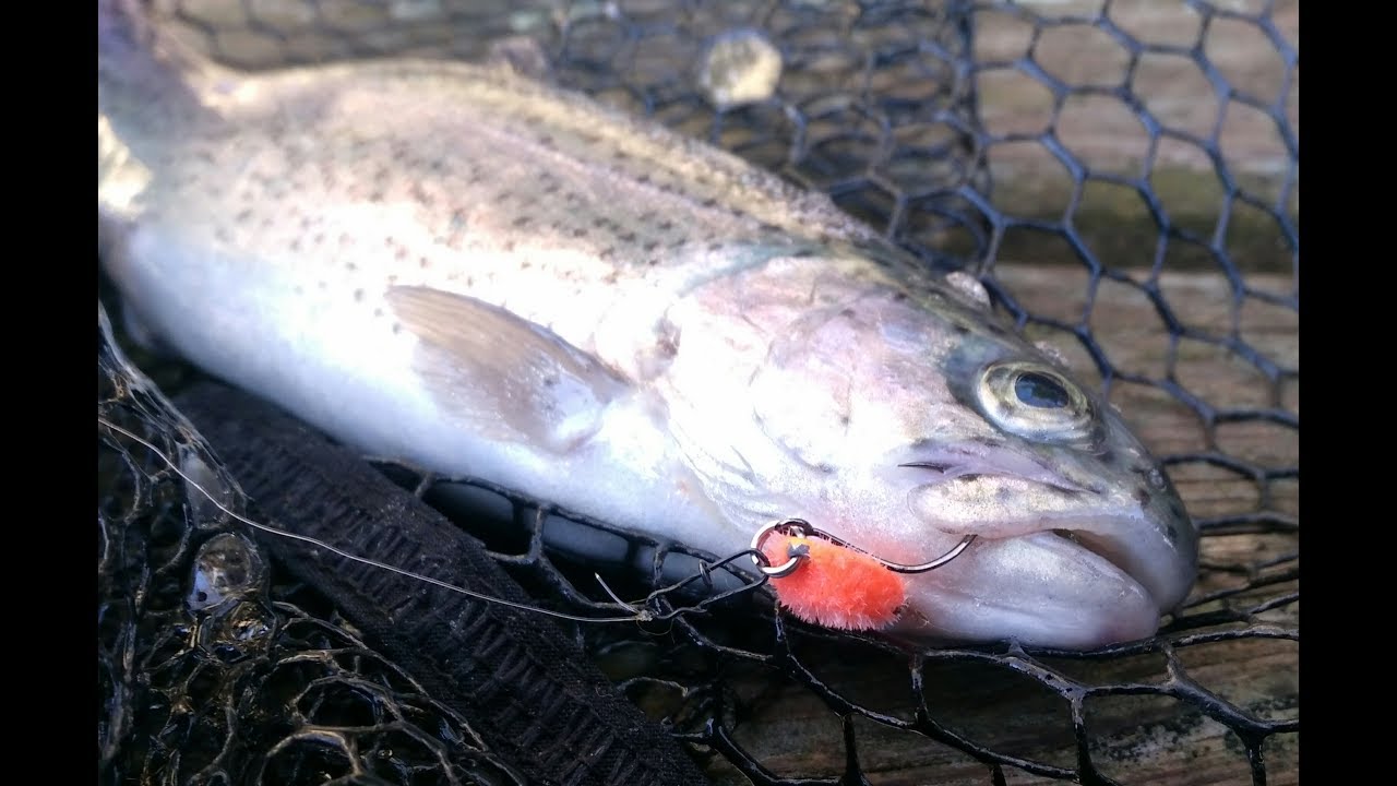 Trout Area Invernale- God hands Spoon-Bottom