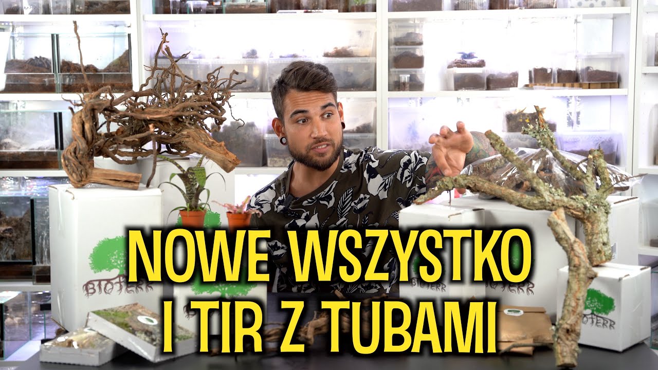 Nowości w Bioterr, RZADKI pająk, I TIR Z TUBAMI 🤯🤯