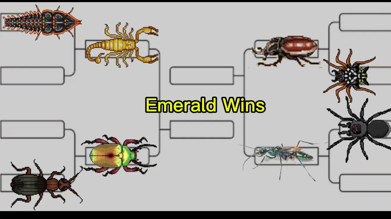 Pocket Ants Tournament 2
