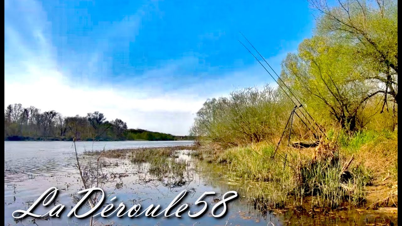 De retour sur les bords de Loire // Pêche de la carpe.