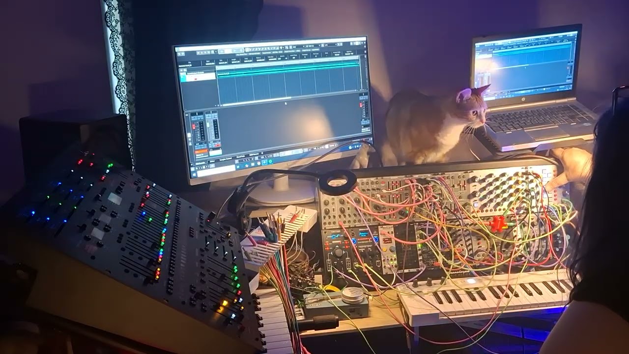 Bendy spooky ghostly kooky 