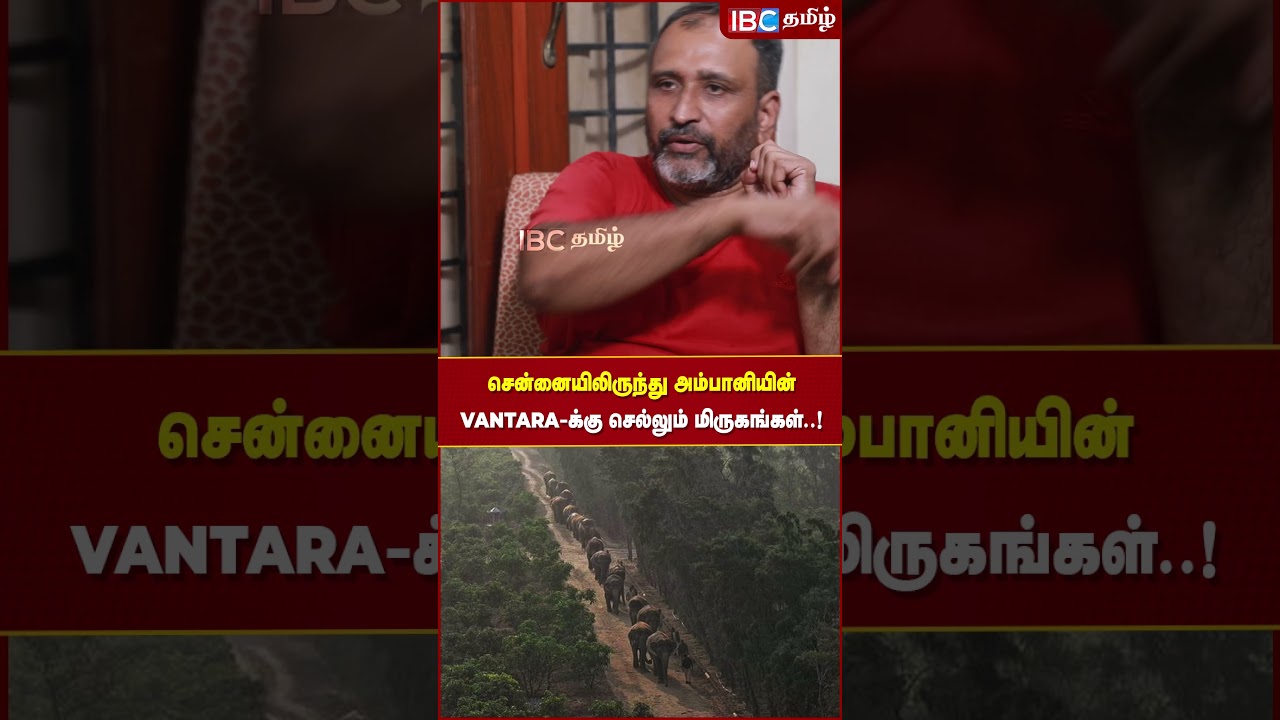 சென்னையிலிருந்து அம்பானியின் Vantara-க்கு செல்லும் மிருகங்கள் #vantara #ambani #animalwelfare