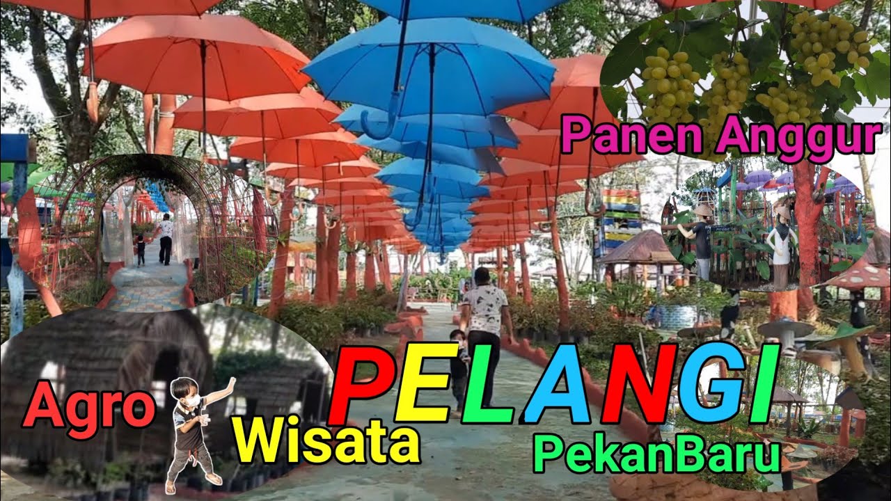 SURVEI WISATA AGRO PELANGI PEKANBARU TERNYATA ADA BUAH  ANGGUR DAN LENGKENG - SEPERTI NEGERI KURCACI