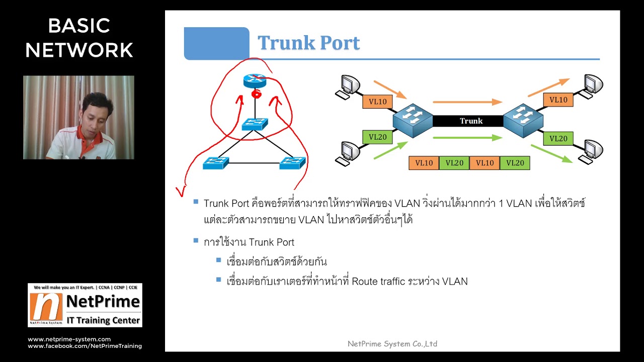 Basic Network - Module 4-4 VLAN Trunk Port