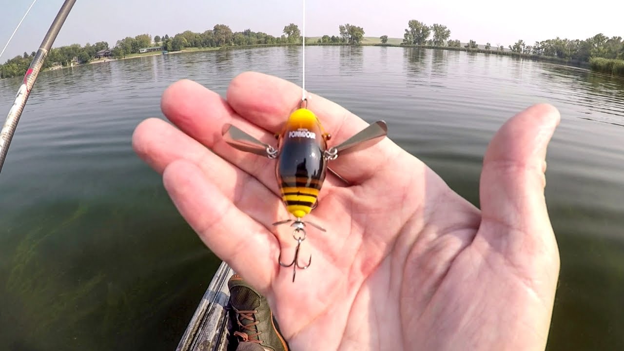 Fish Were Smashing This Little Crawler Lure!