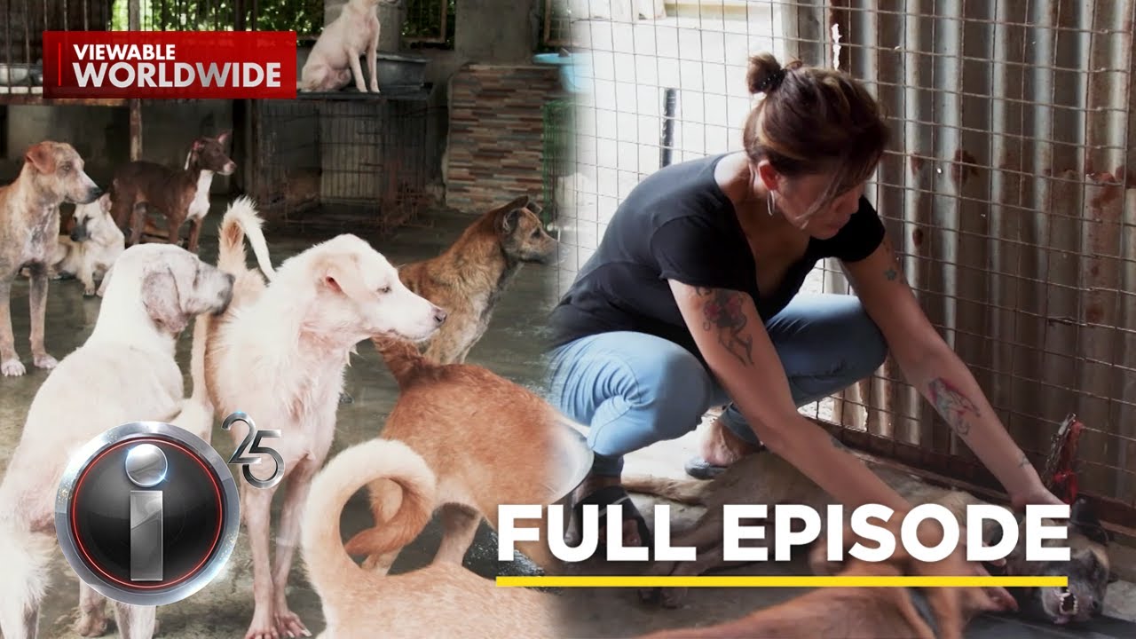 &lsquo;Aspin,&rsquo; dokumentaryo ni Kara David (Full Episode) | I-Witness