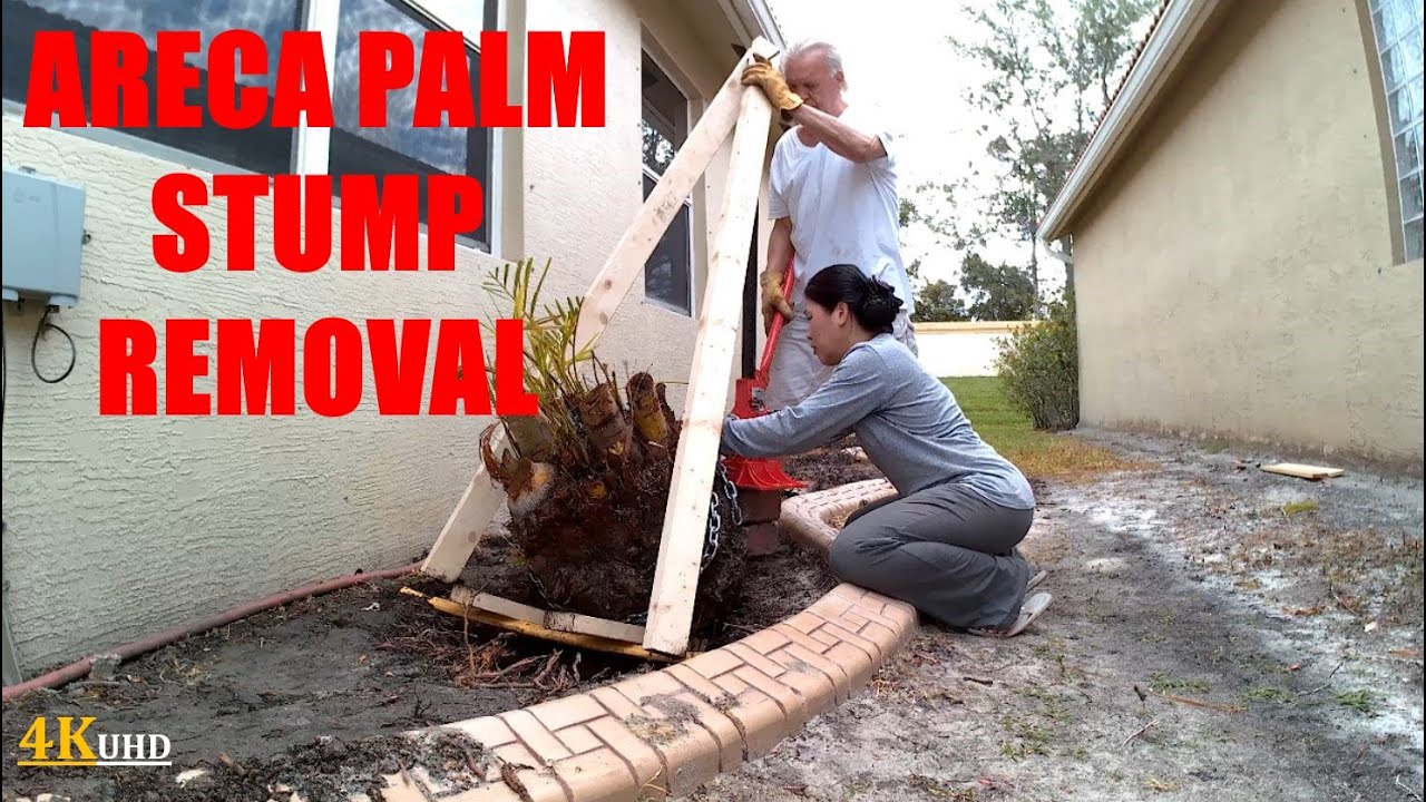 ARECA PALM STUMP REMOVAL | FINALLY COMPLETE | GARDEN PART 4 | VLOG | 4KUHD| CANDY CHANNEL