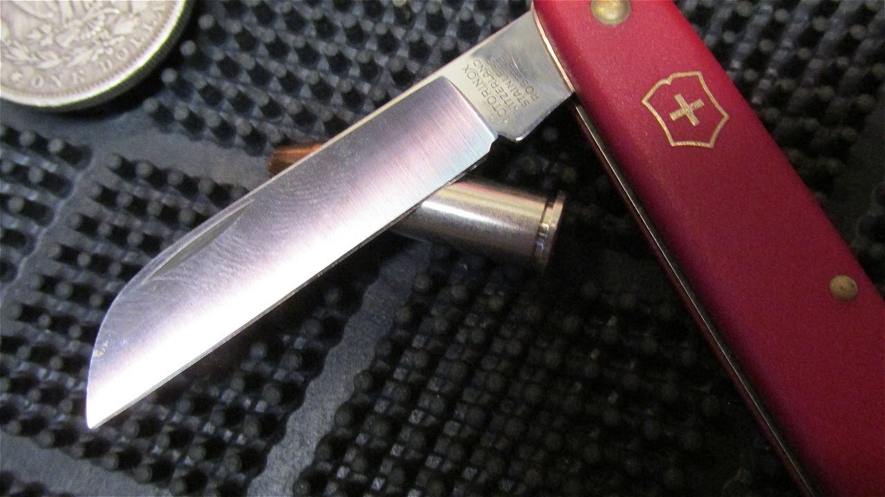 VICTORINOX FLORAL KNIFE MOST UNDERRATED WORK KNIFE 👀🌰🌻🌻🌻
