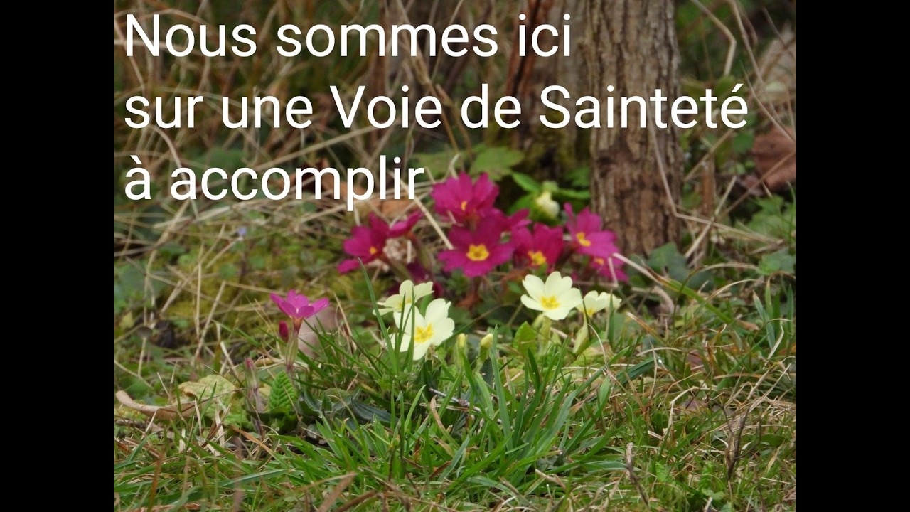 NOUS SOMMES ICI SUR UNE VOIE DE SAINTETÉ A VIVRE POUR L'ACCOMPLIR