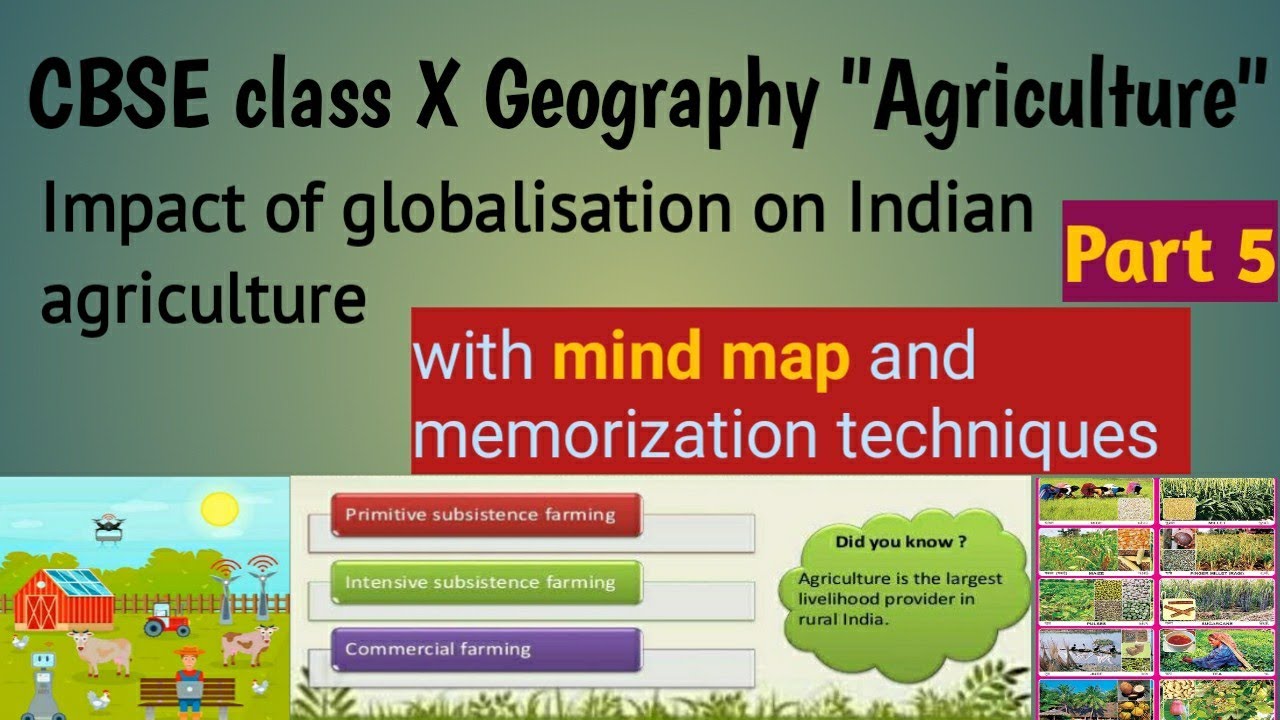 Impact of Globalisation on Agriculture & Indian Economy.   #ThePedagogue