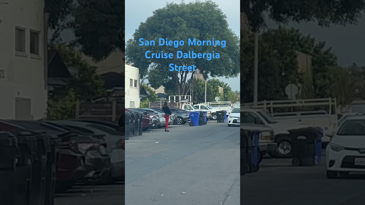 San Diego Morning Cruise Dalbergia Street  -3