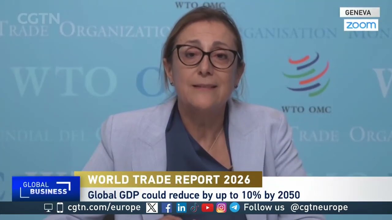 WTO warns that failure to modernise could shrink the global economy