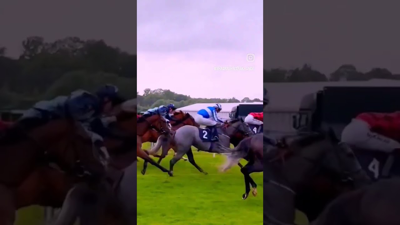 Chester racecourse 2023, UK.