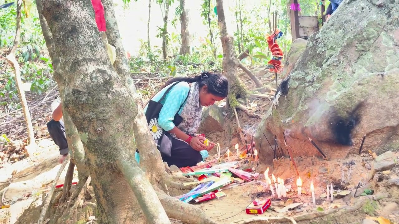 New video input in input in  ￼