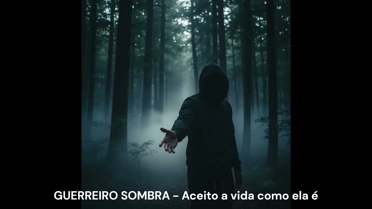 Guerreiro Sombra - Aceito a vida como ela é