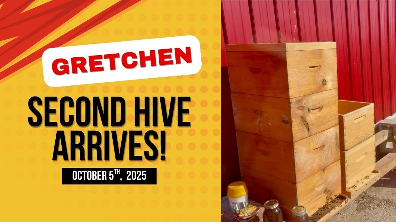New Hive Arrives!