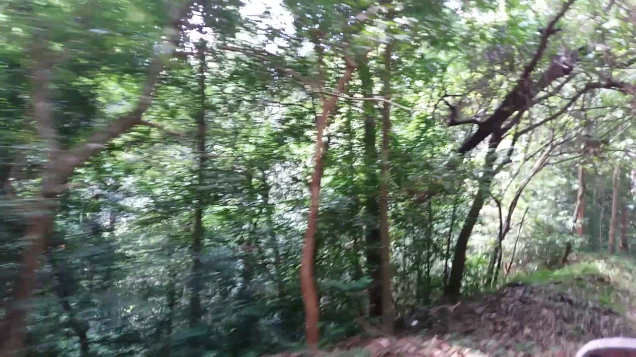 Silent valley national Park rain forest ride with forest department guide