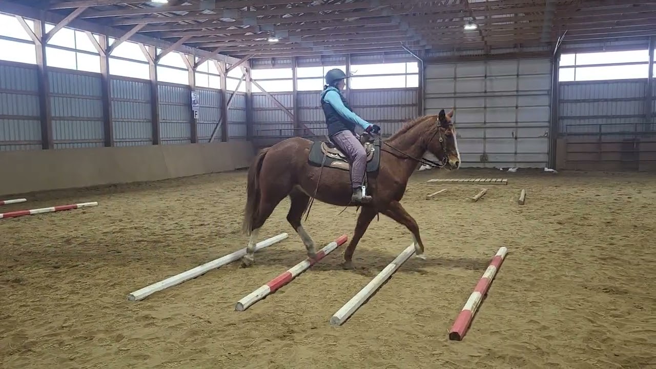 SB Virtual Horse Show Western - January Submission - Adult Walk/Jog Trail