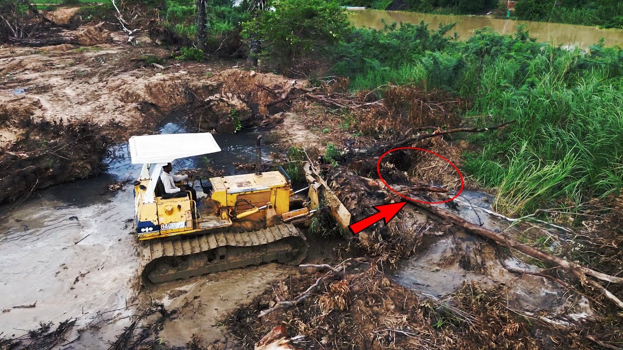 Fantastic!! powerful bulldozer KOMATSU D40p pushing land and trees with dump trucks filling upland.