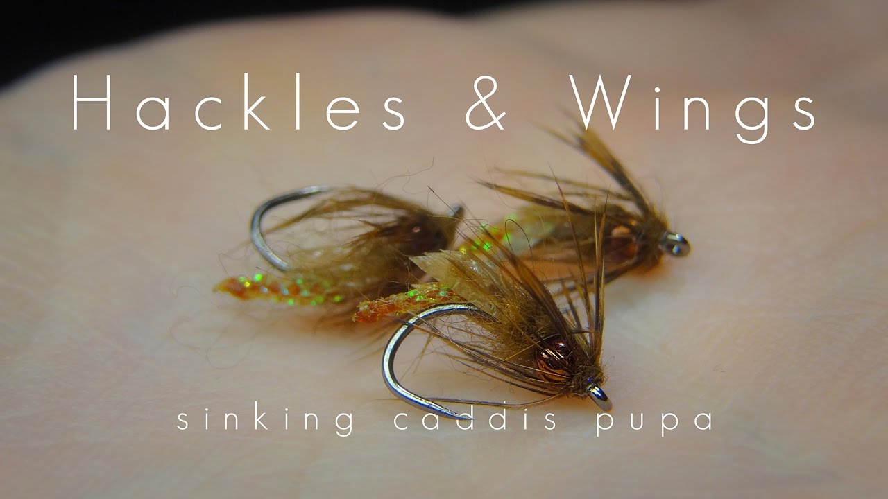 Fly Tying Sinking Caddis Pupa | Hackles & Wings