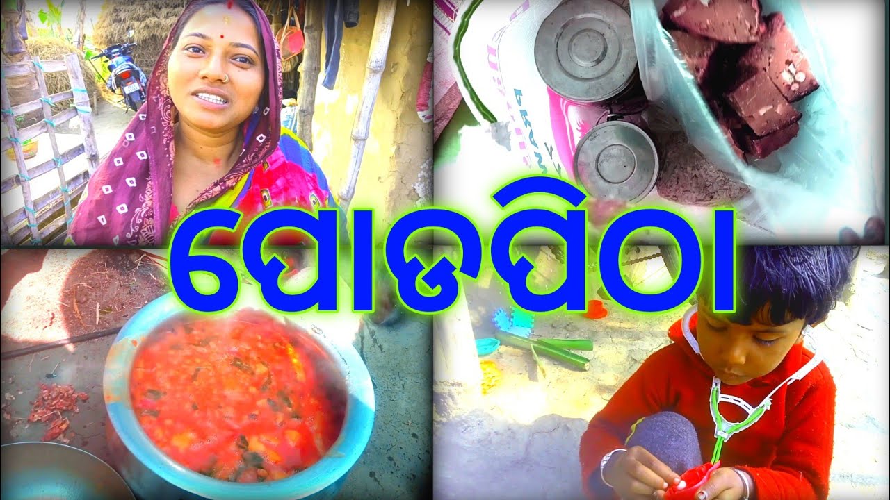 ପୋଡପିଠା ଗଲା ନଣନ୍ଦ ଘର | ମକର ସଂକ୍ରାନ୍ତି Special Vlog