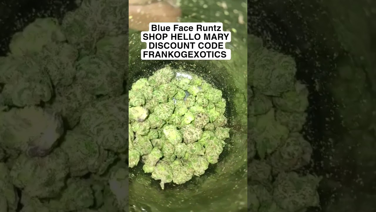 BLUE FACE RUNTZ SHOP HELLO MARY DISCOUNT CODE FRANKOGEXOTICS #CANNABISEDUCATION #legalcannabis