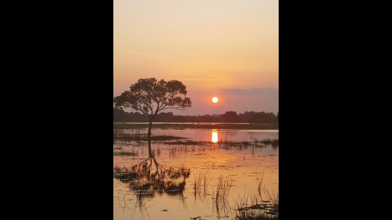 sun rise trincomalee