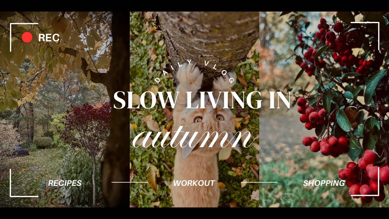 Cozy autumn in the Polish countryside 🍁🍂 Jesień na polskiej wsi 