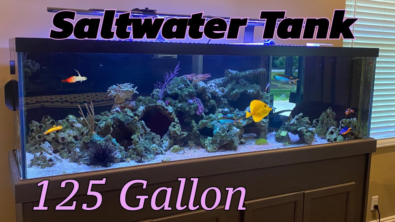 125g Reef Tank
