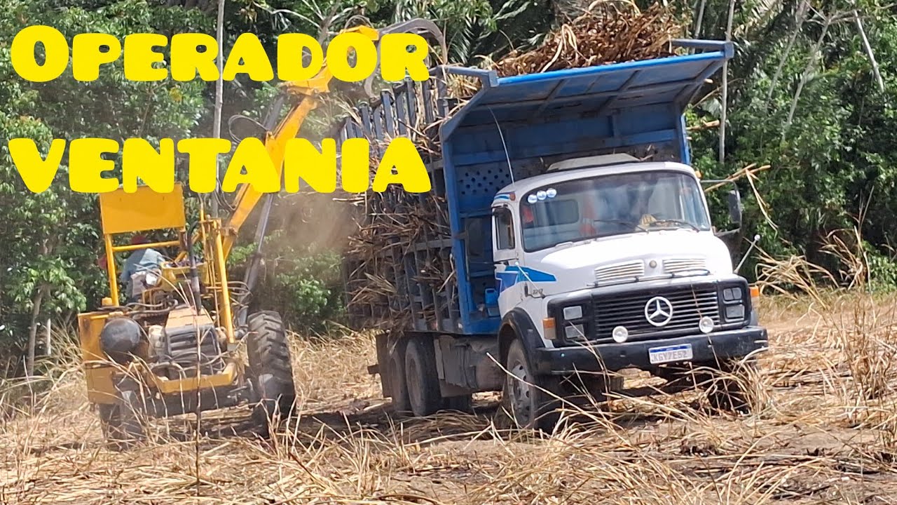 CARREGAMENTO DAS RELÍQUIAS NO 12 FAZENDA PATROCÍNIO OPERADOR VENTANIA 