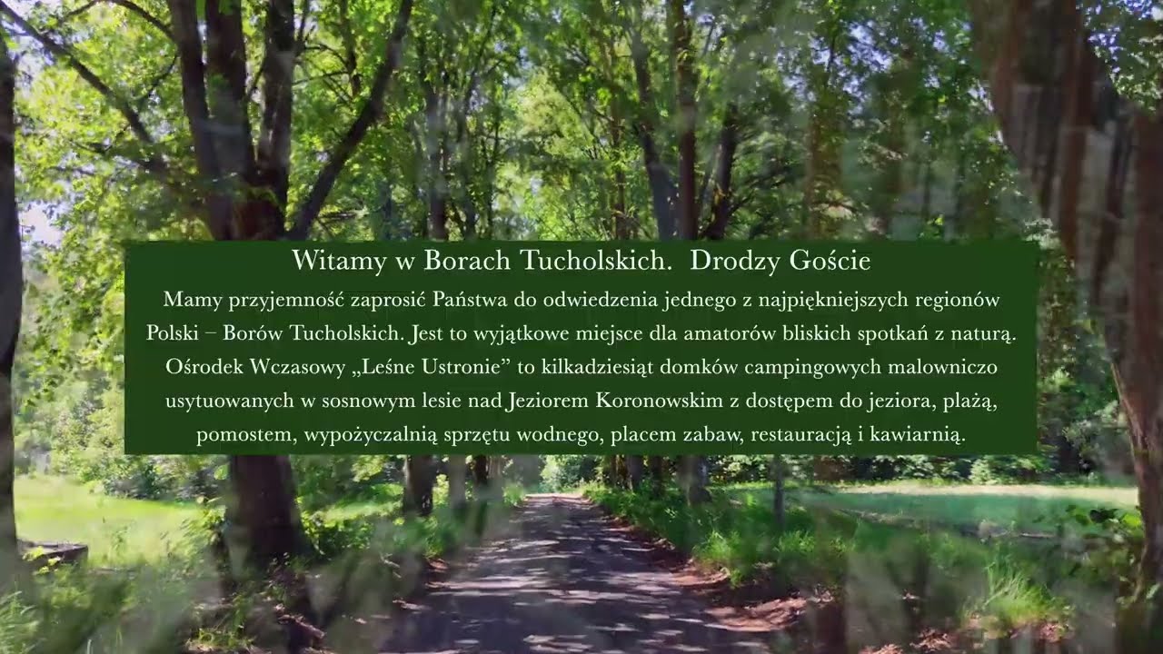 OW LEŚNE USTRONIE BORY TUCHOLSKIE ZAMRZENICA