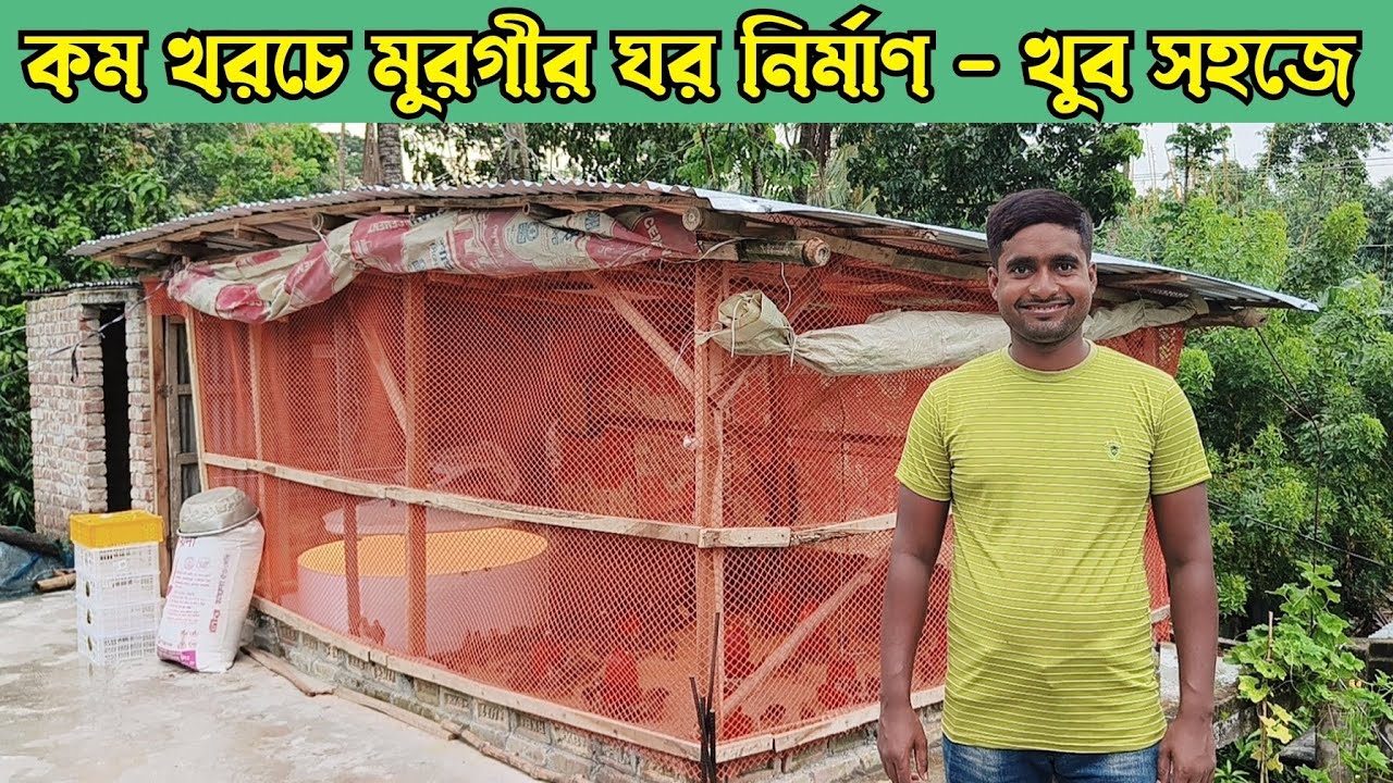 মুরগীর ঘর তৈরির নিয়ম ও সঠিক মাপ। স্বল্প জায়গায় কীভাবে মুরগীর ঘর বানাবেন!
