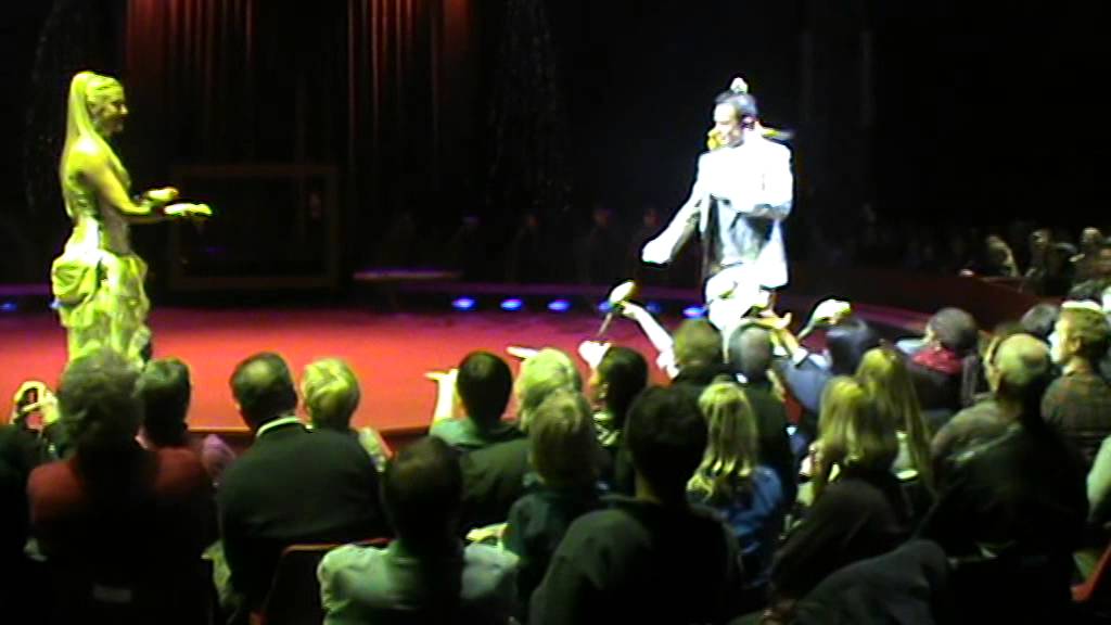 50 pappagalli opera stuttgart