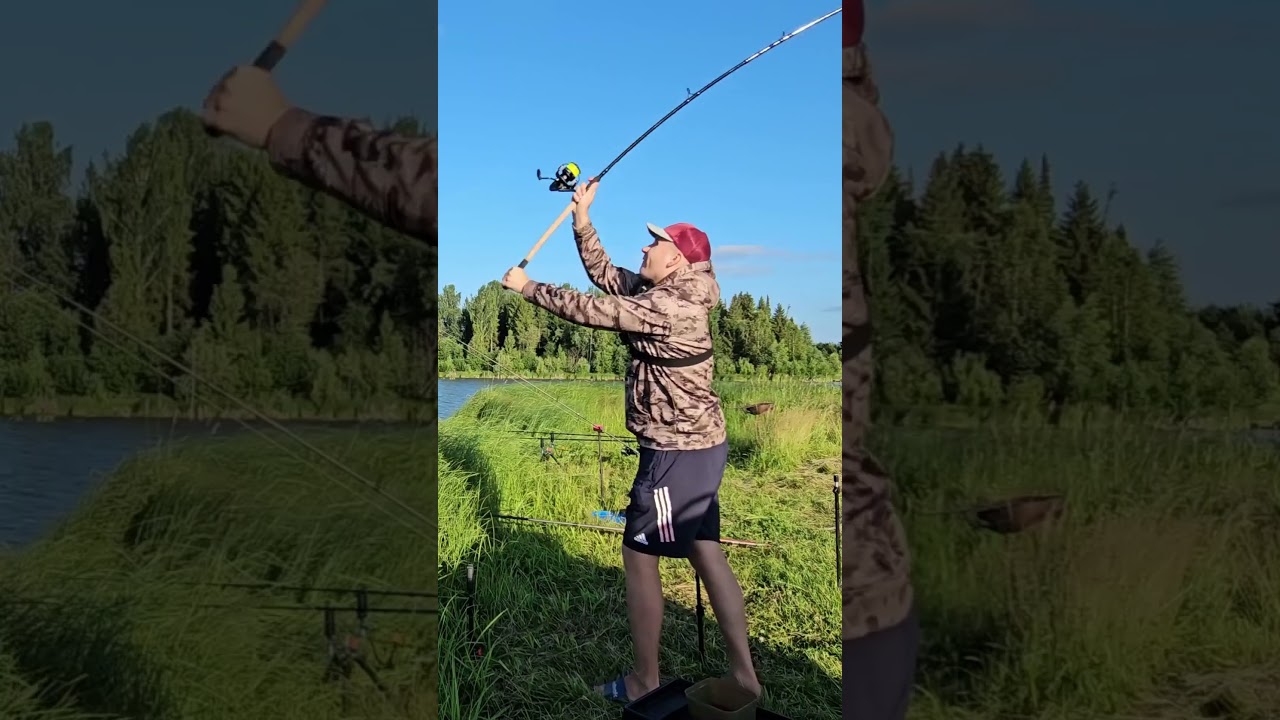 мини карп #fishing #флэтфидер #ловлякарася #ловлякарпа