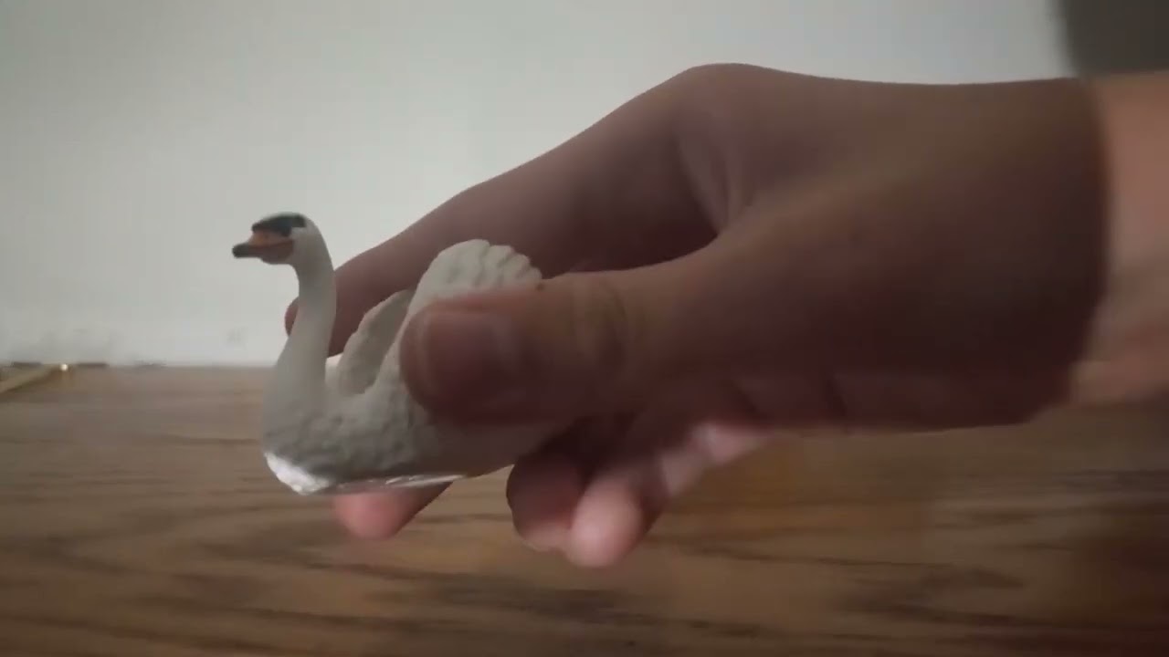 The Black Cat Reviews Schleich Farm World Swan.