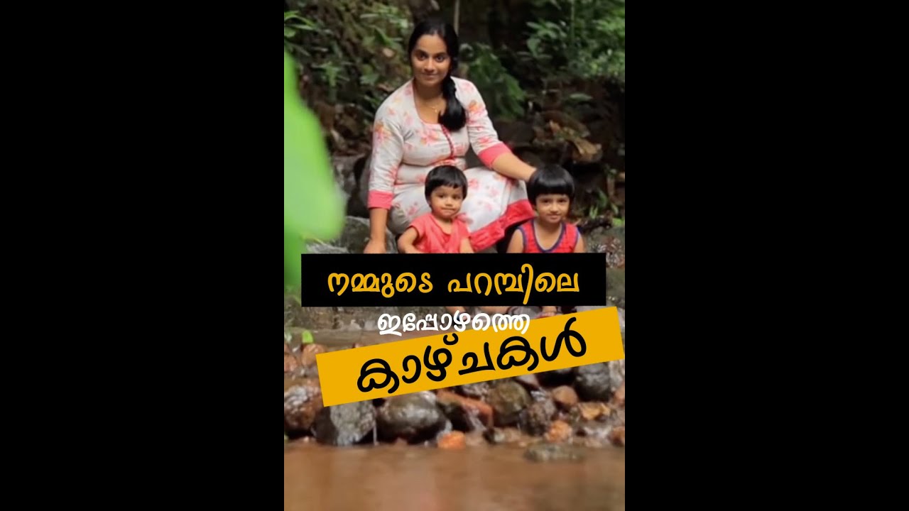 വർഷത്തിന് ശേഷം നമ്മുടെ പറമ്പിൽ പോയപ്പോൾ   | Kerala Vacation Video Part 9