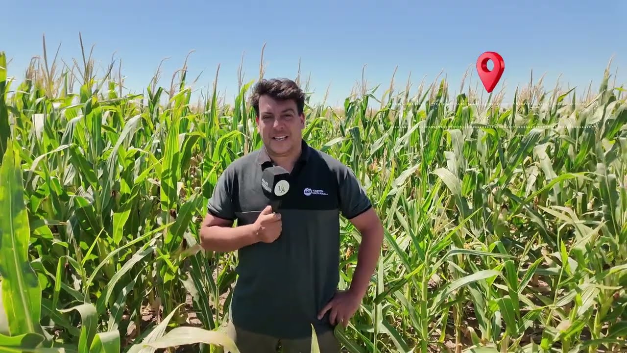 Franco Carmona, responsable general de riego del Establecimiento El Tigre, de Alimentos Santa Rosa.
